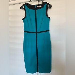 Calving Klein Dress